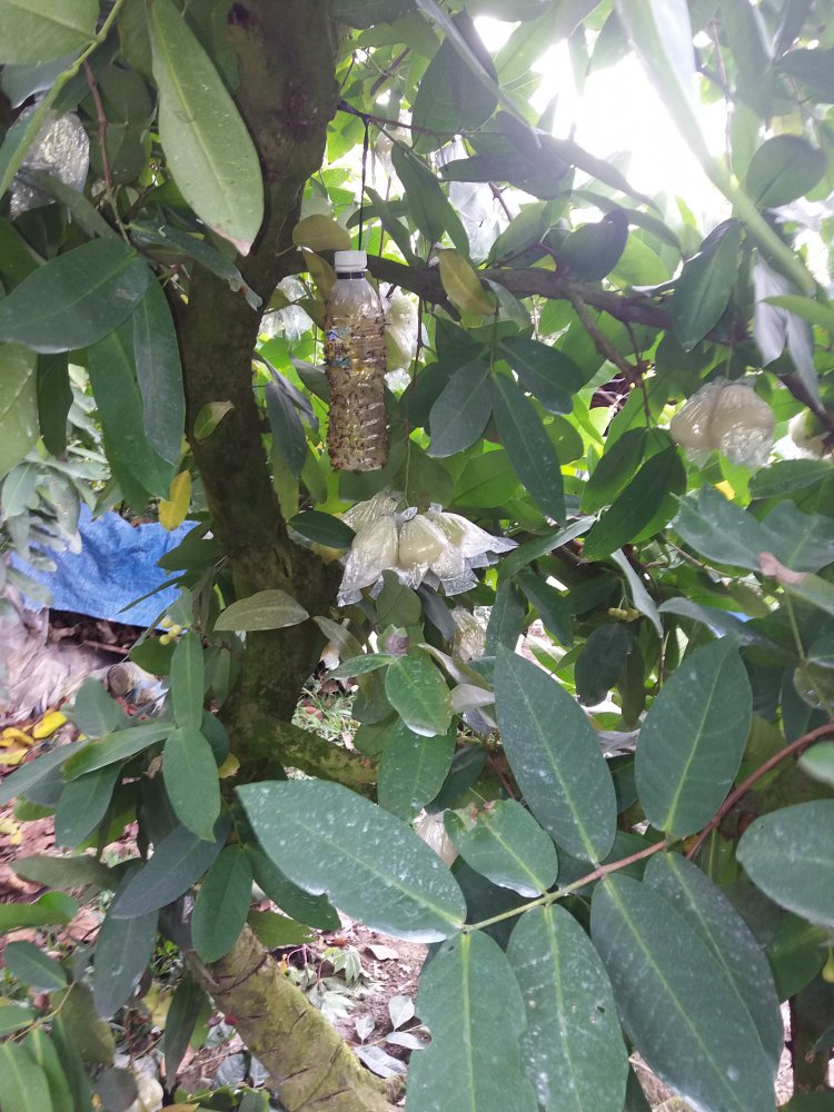 20180816_111245.jpg