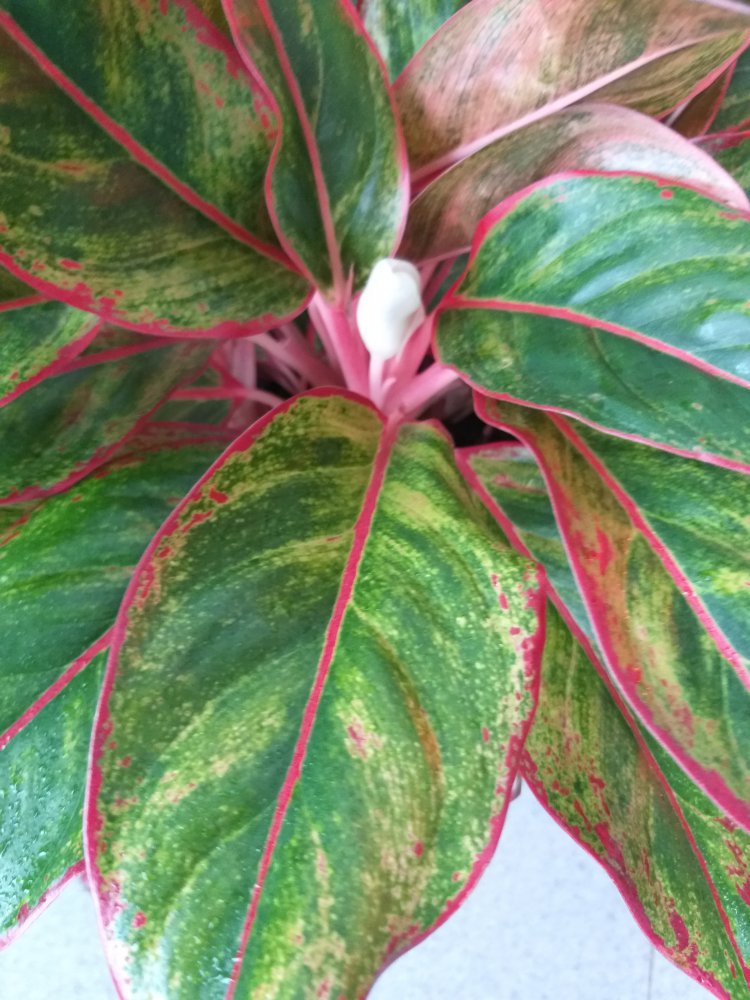 20180928_140044.jpg