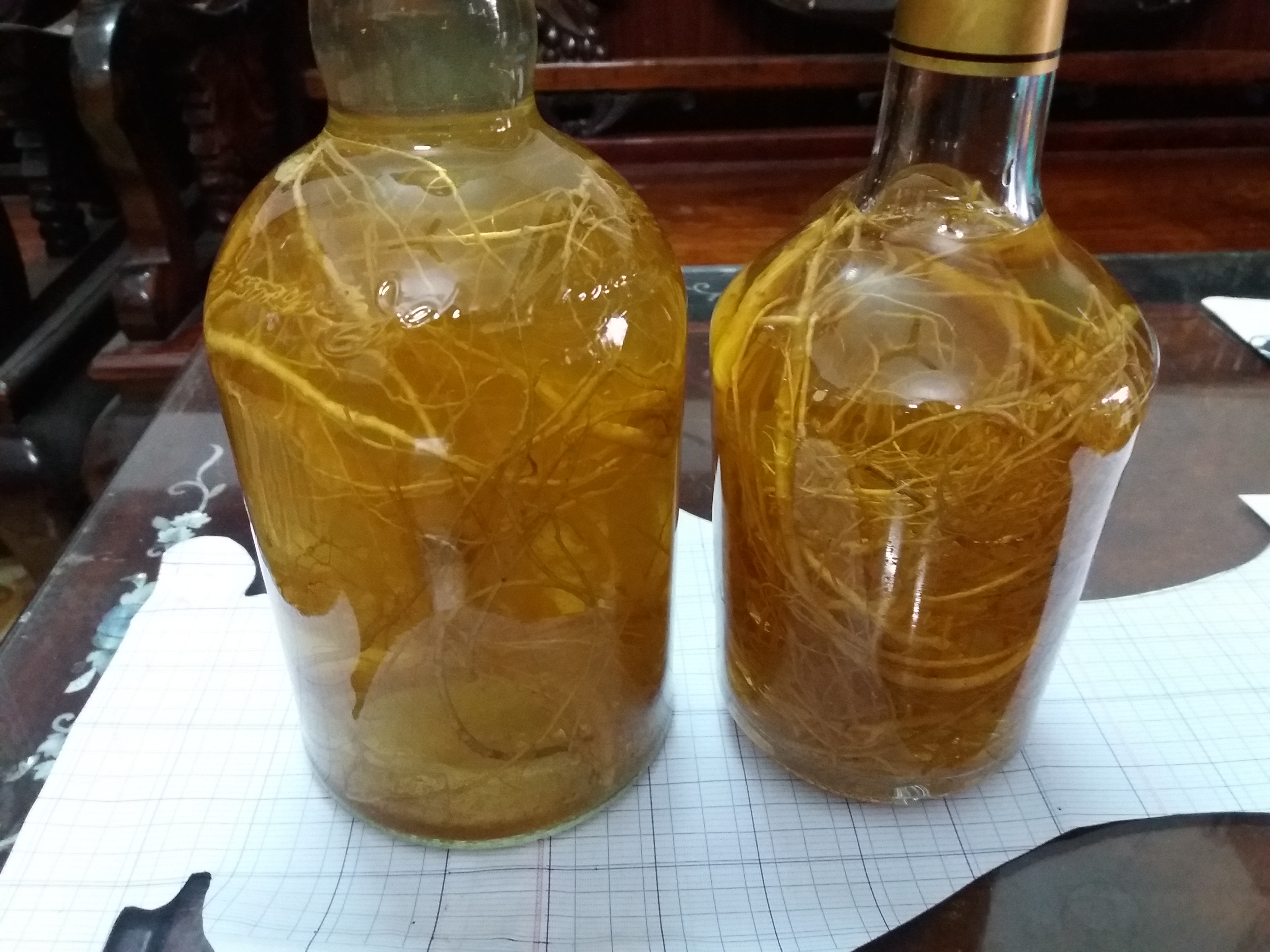 20190116_160203.jpg