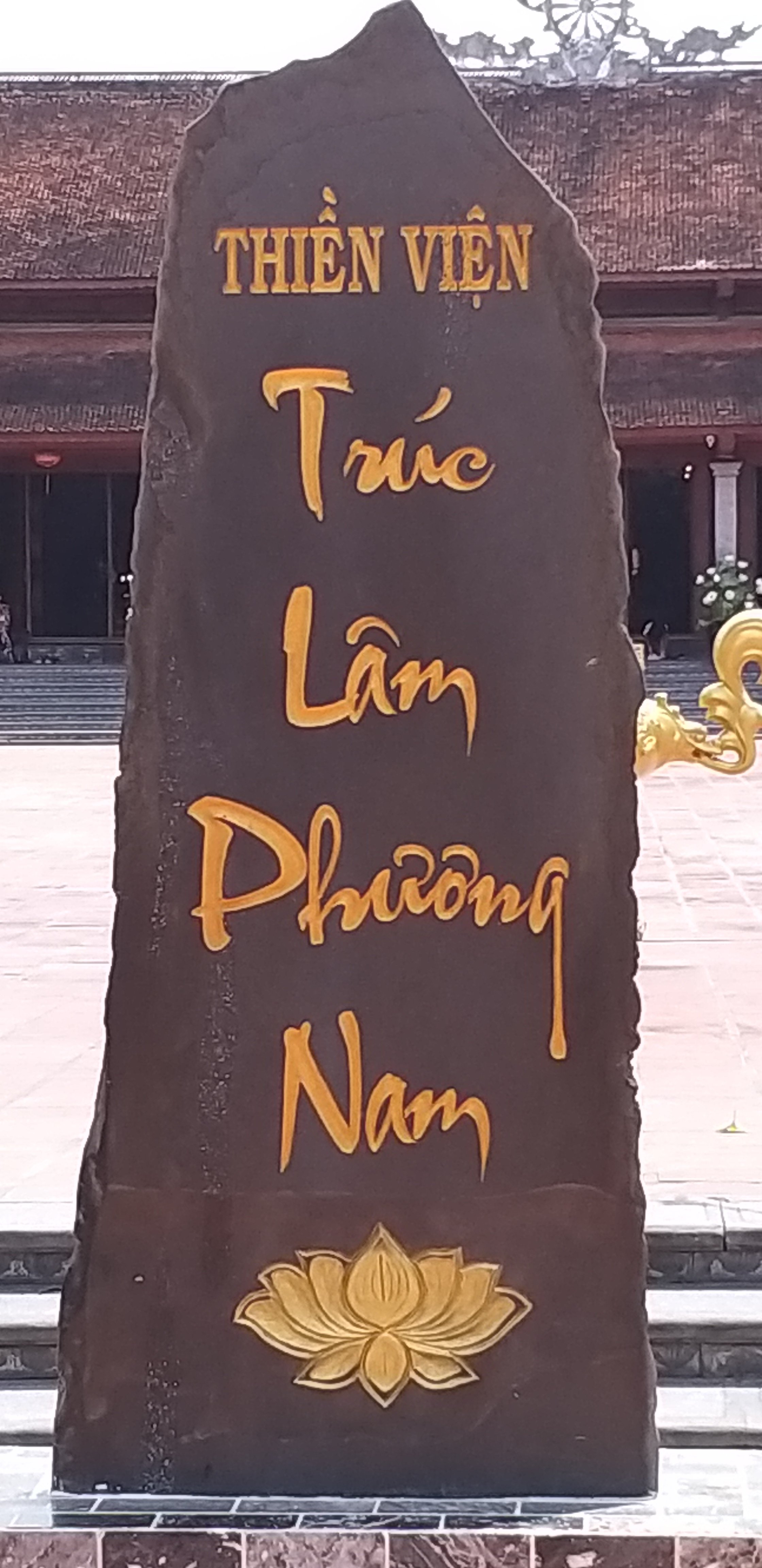 20190226_110145.jpg