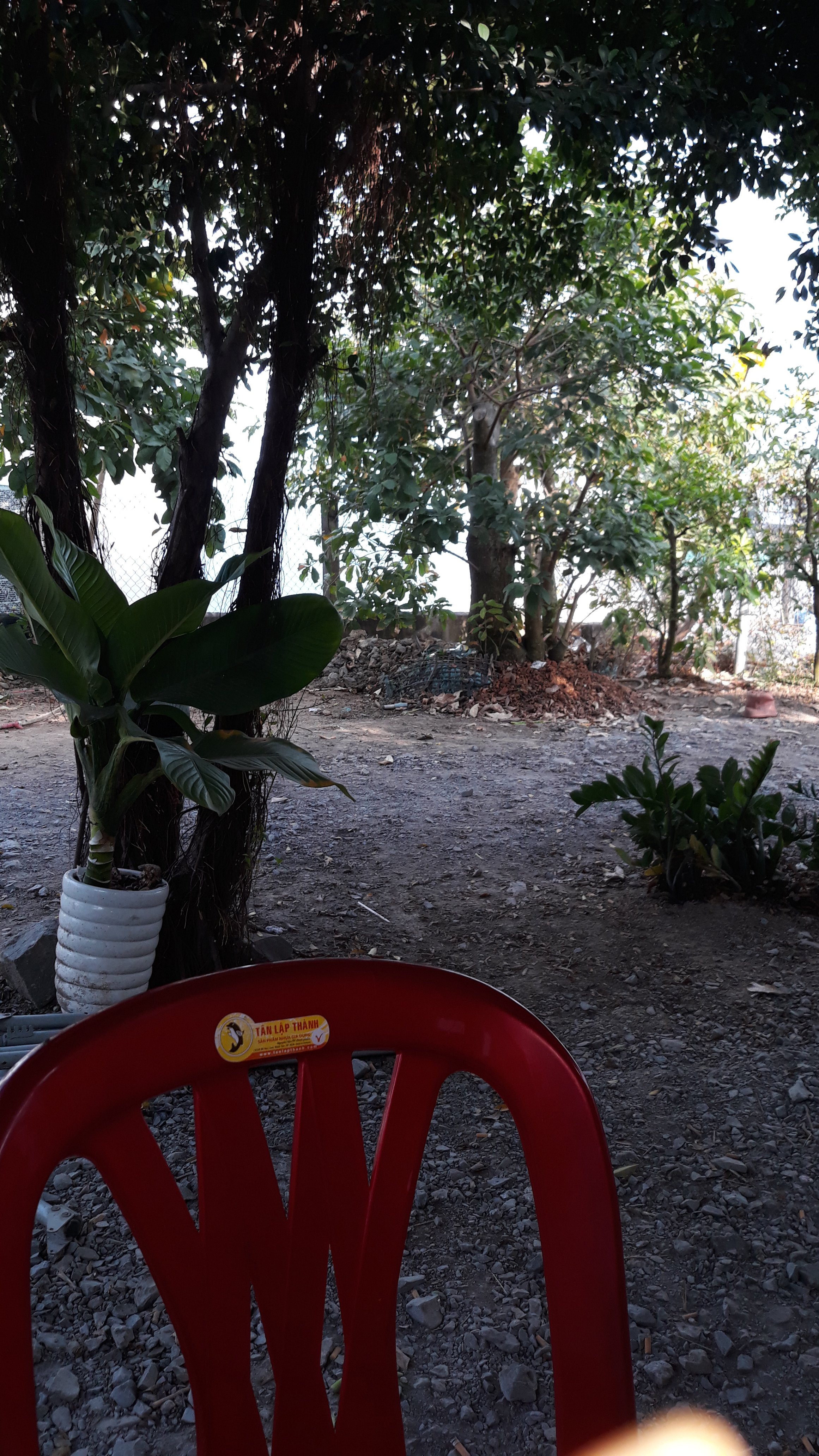 20190412_073353.jpg