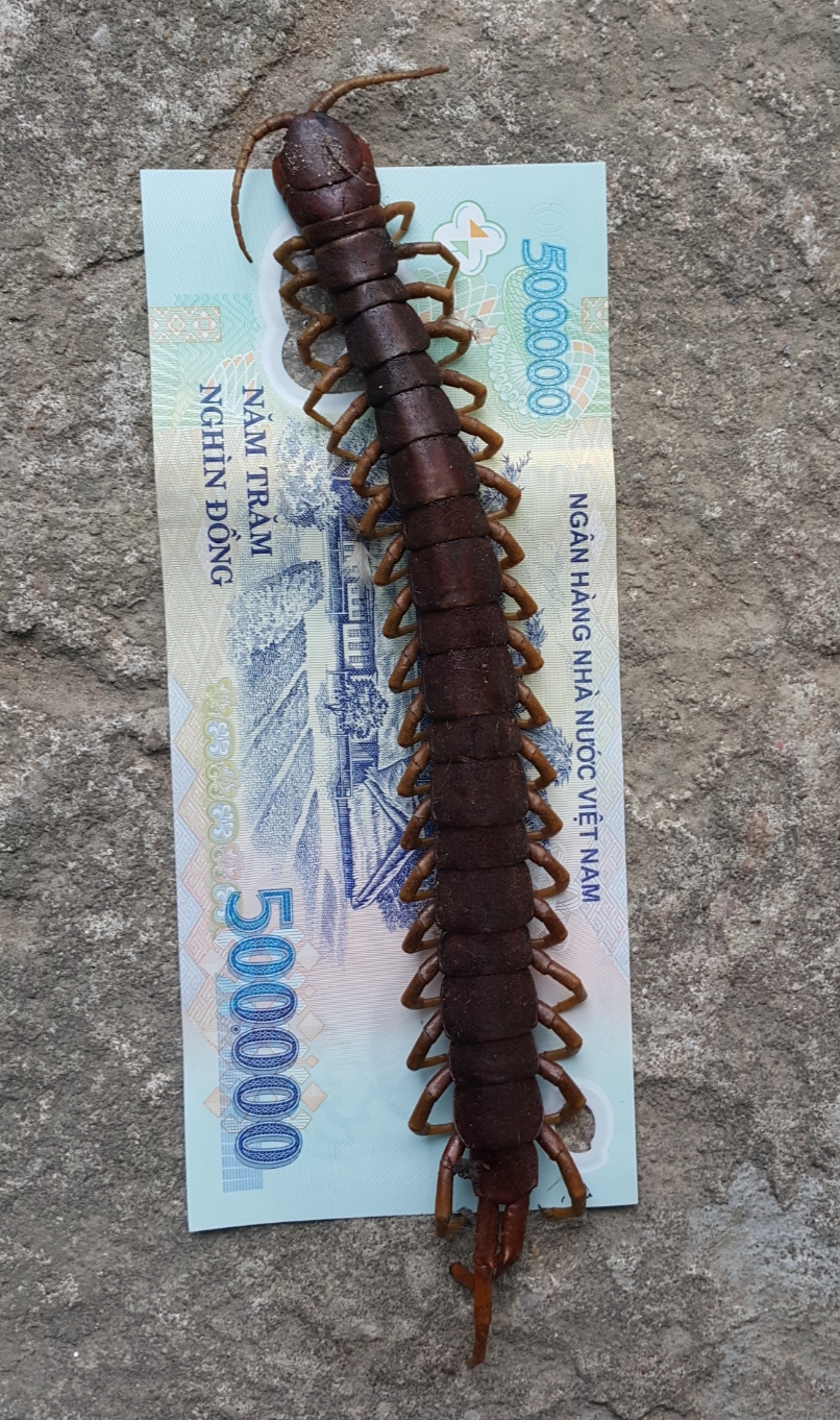 20190423_134107.jpg