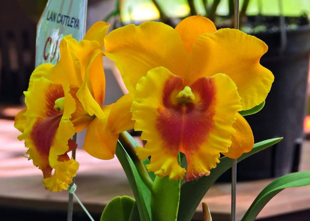 20190426_223118.jpg