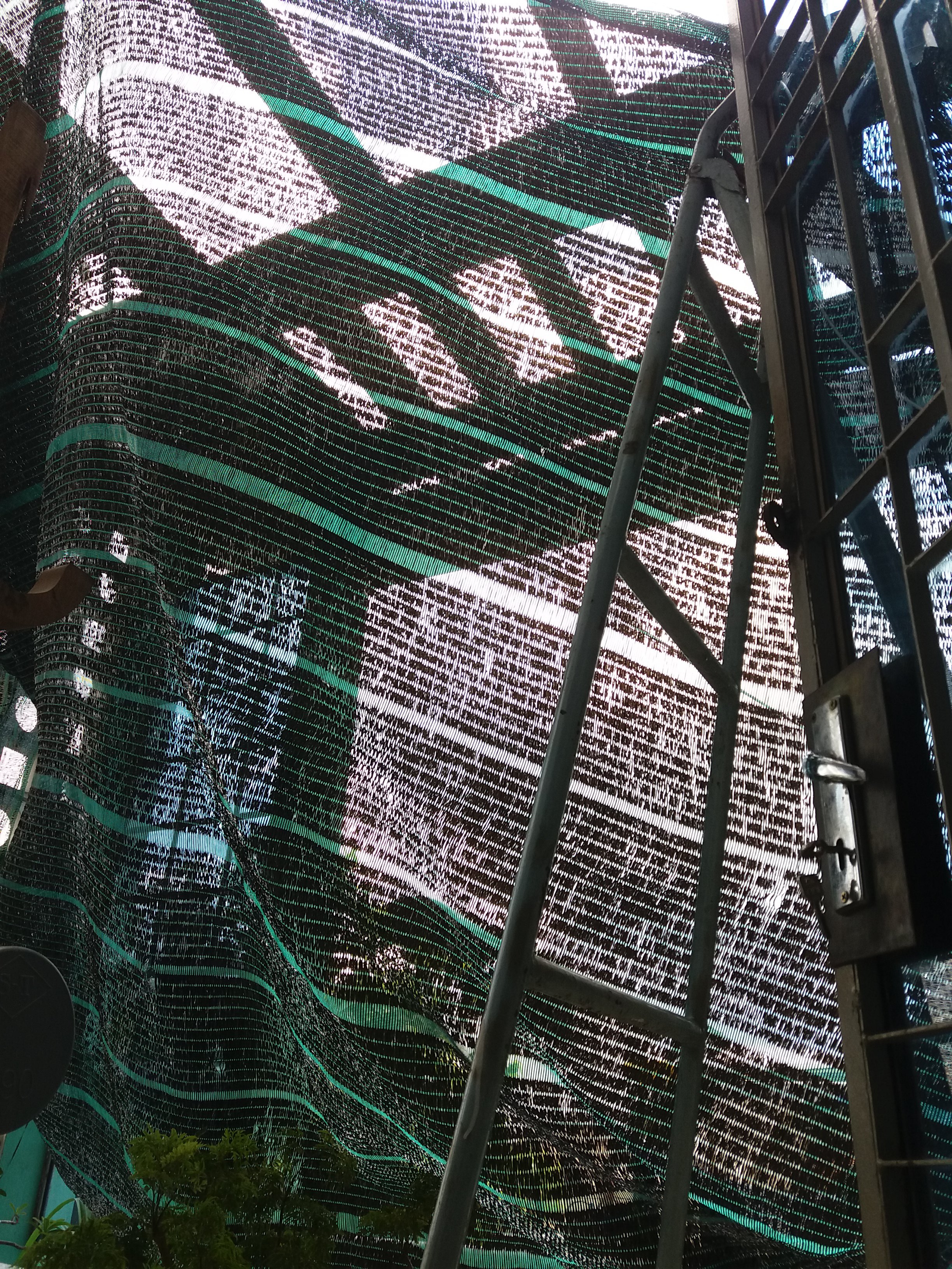 20190505_110947.jpg