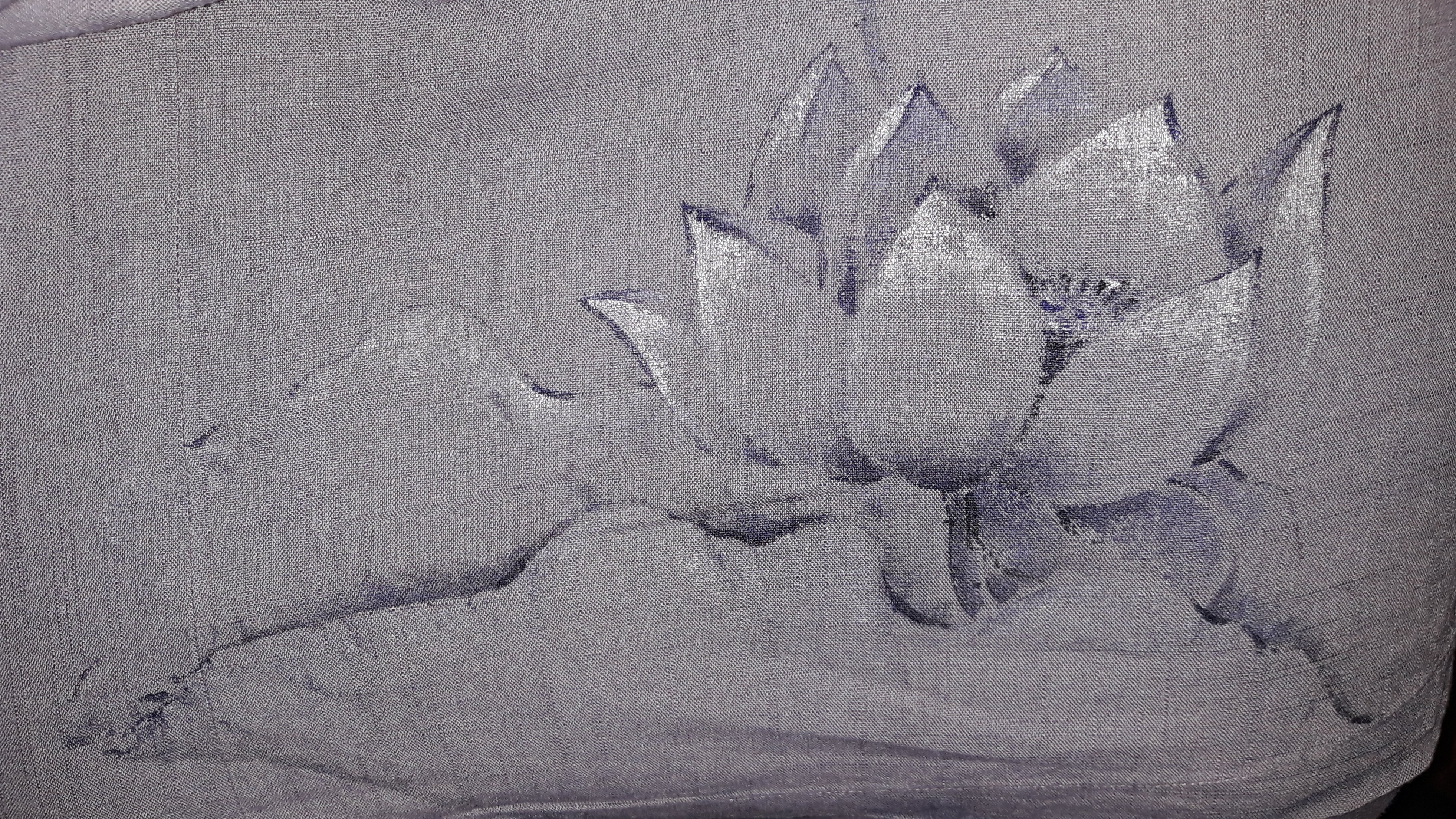 20190513_145153.jpg