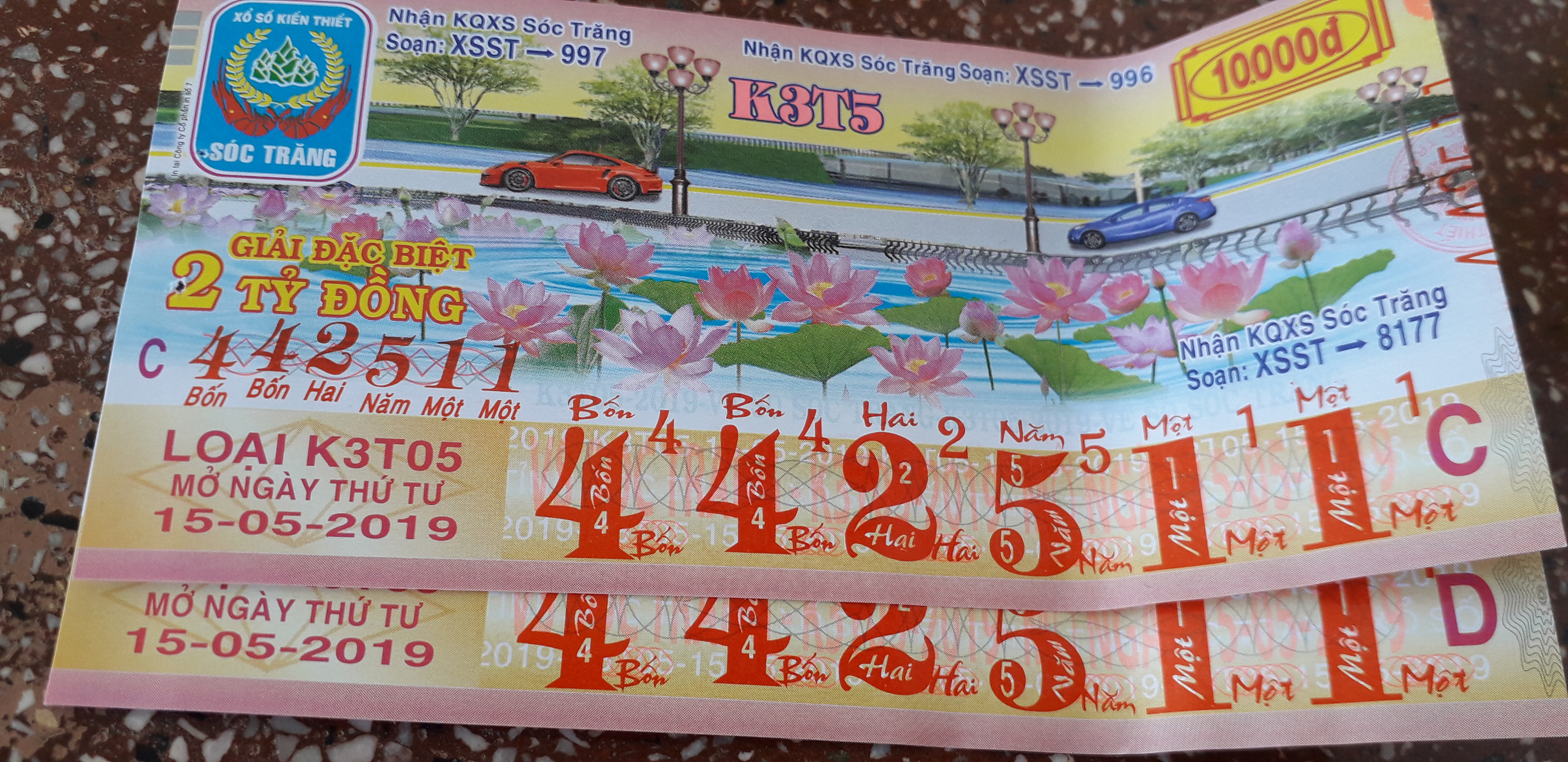 20190515_120624.jpg