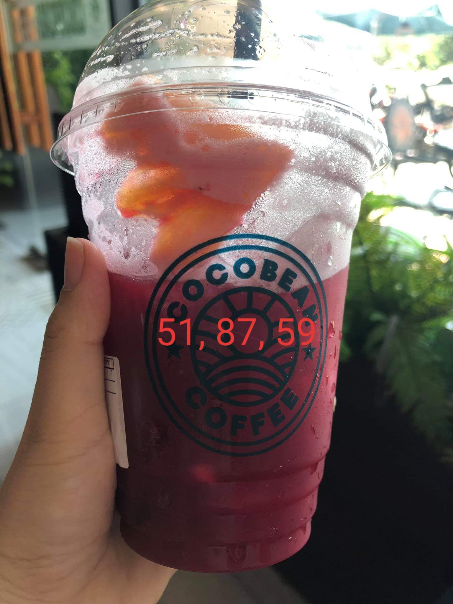 20190716_095943.jpg