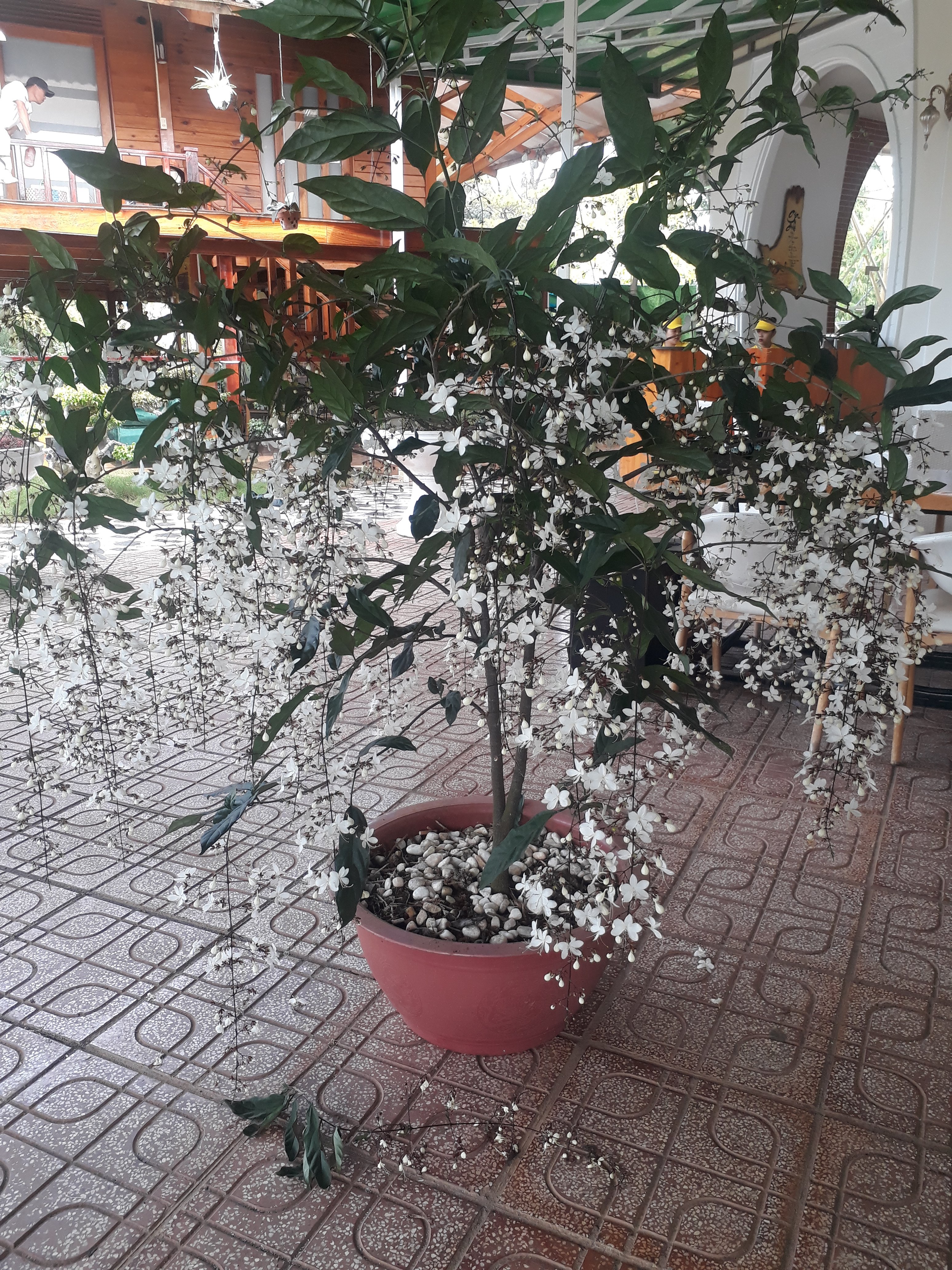 20191109_091224.jpg