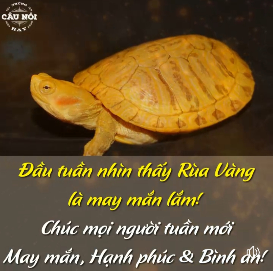 20191126_112126.jpg