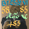 20200225_084416.gif
