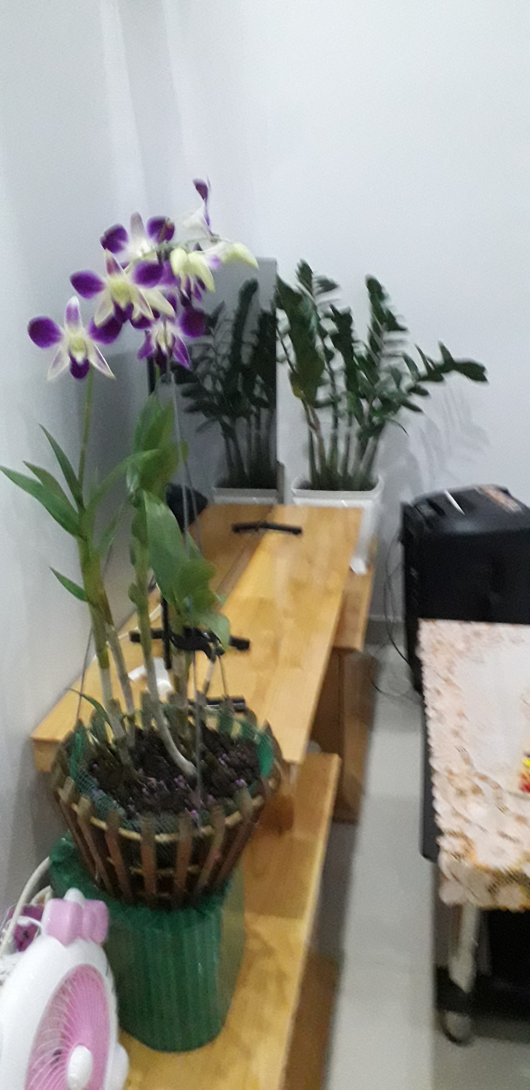 20220729_184652.jpg