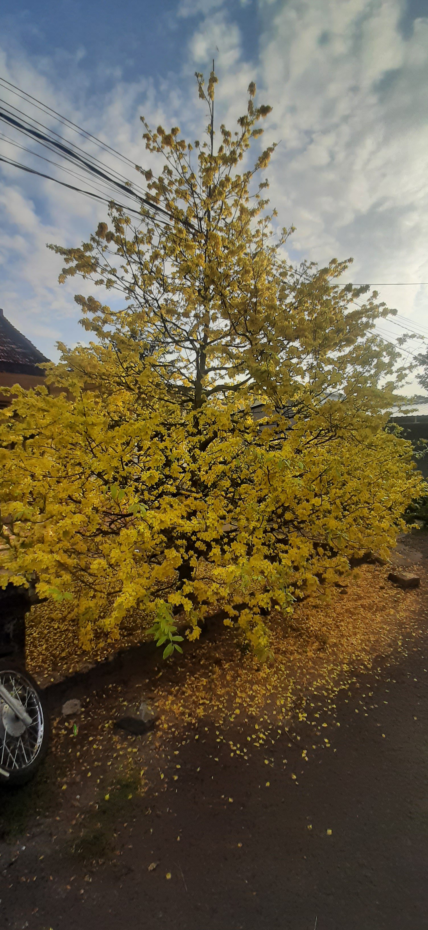 20230123_073535.jpg