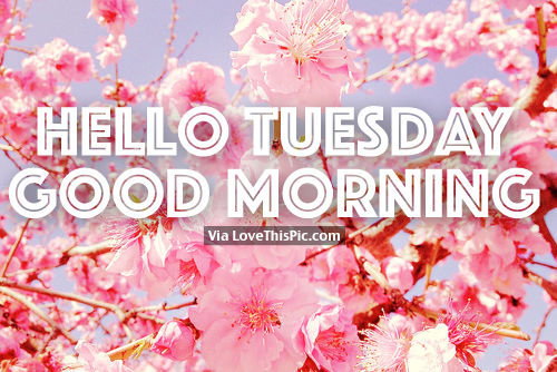 235706-Hello-Tuesday-Good-Morning[1].jpg