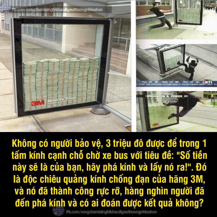 255338d8d2f53f9296cb767f61c12c4d.jpg