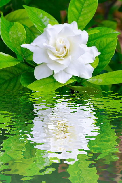 25946732-78D7-4347-BF52-DEE19E4F05A8.png