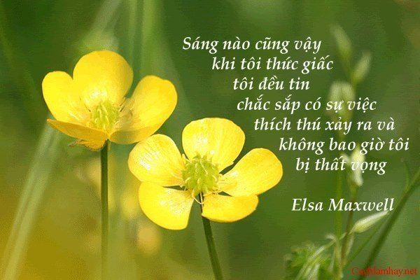 25e57148e925b57dae4fec7cb88bca29.jpg