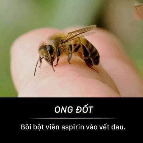 26E9F66D-F8AA-4727-BC46-9A1E2B9004BC.jpeg