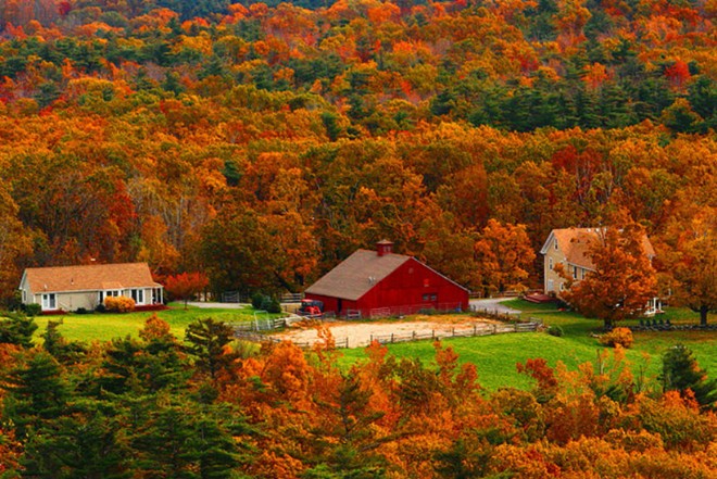 2_new_England_1[1].jpg