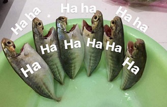 2E19A78C-DA5A-49F2-8617-7CB92110CEB9.jpeg