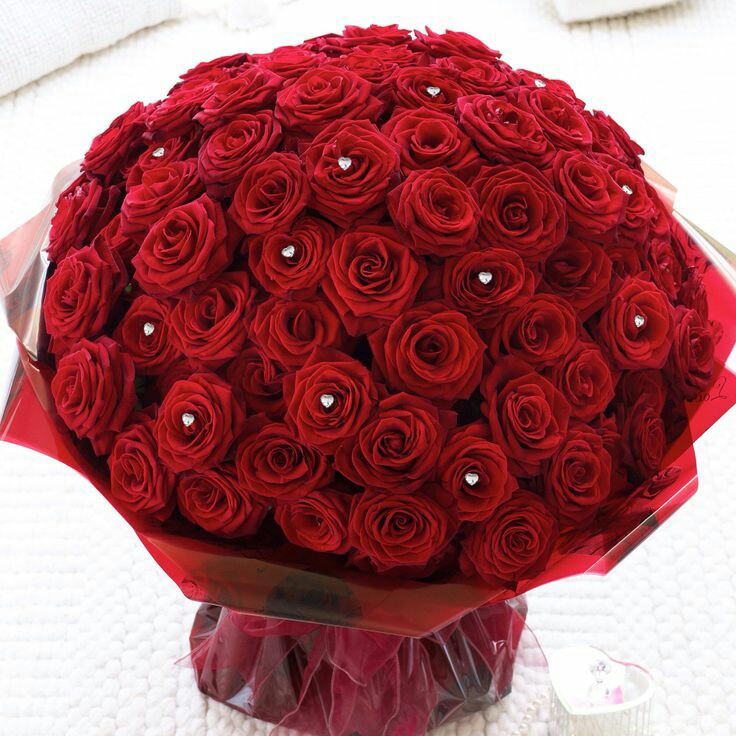 365b1cd6ef9d16c9b404bb9d80ad938d.jpg