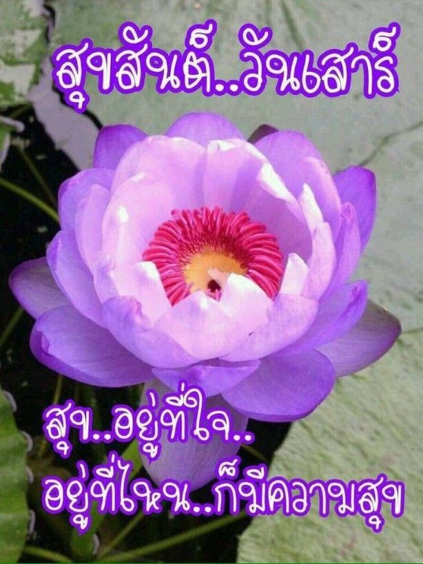 36a9076a8eda558d95c975854a2d7bd4.jpg