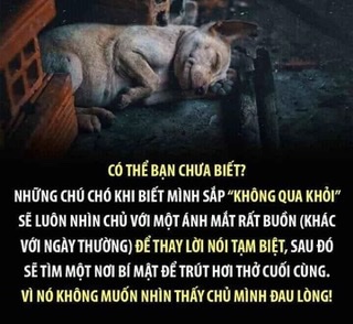 3929BA14-7BC1-4BC9-AFB9-F0A42B9824EB.jpeg