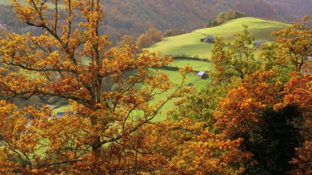 3Basque-Country-France[1].jpg