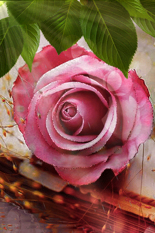3c130c15f2934cb84c8055f393a920d4.gif