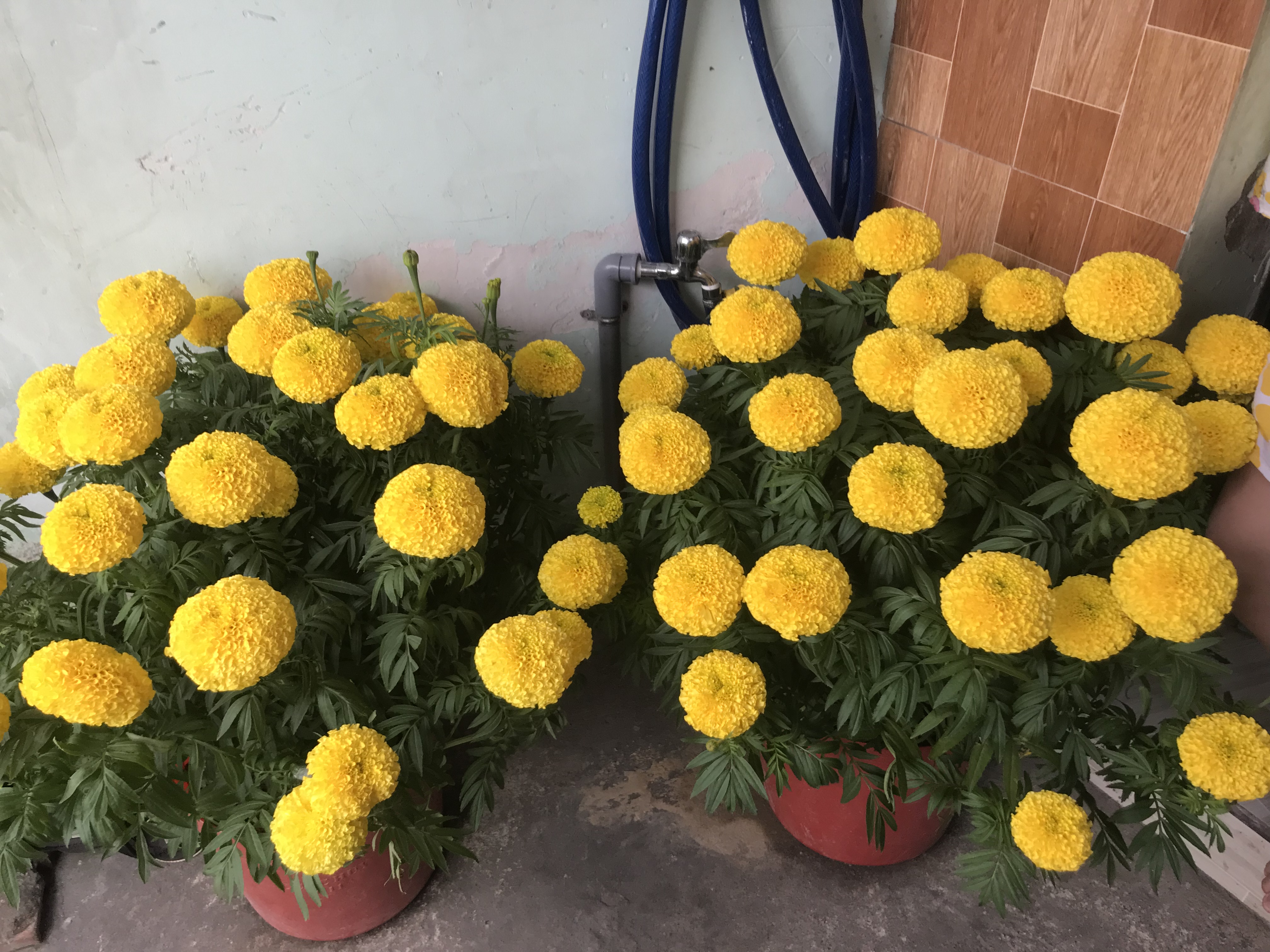 3F5055DC-61DB-467F-A576-EAE3B8056249.jpeg