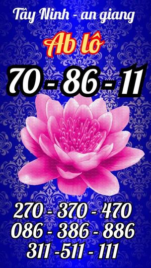 436600168_982203170229111_6523563808274703004_n.jpg