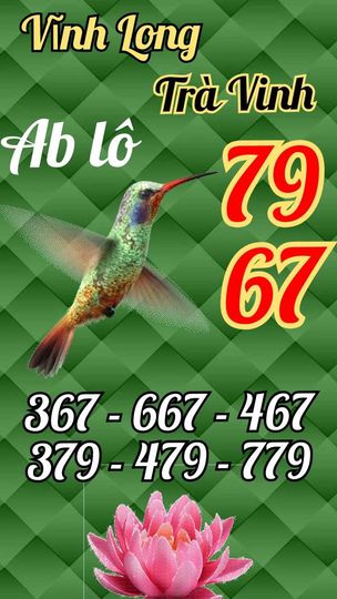 442456552_480247394351910_5066075541969576405_n.jpg