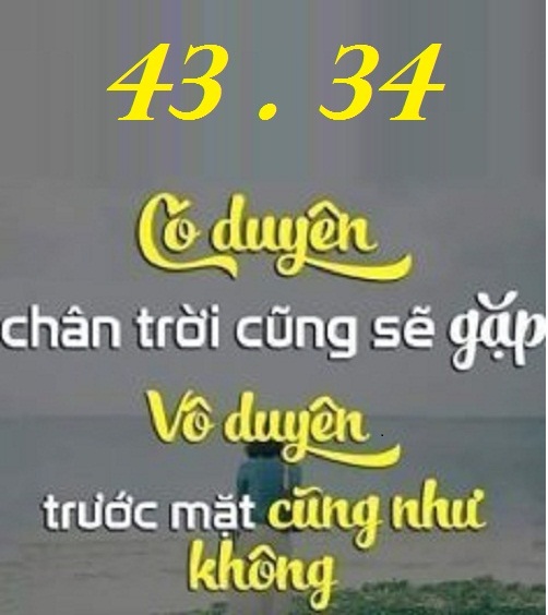 455349.jpg