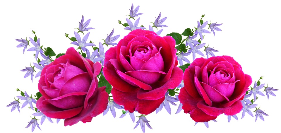 45AB7DFD-EE81-4B64-B2AA-79A1C36CF33F.jpeg