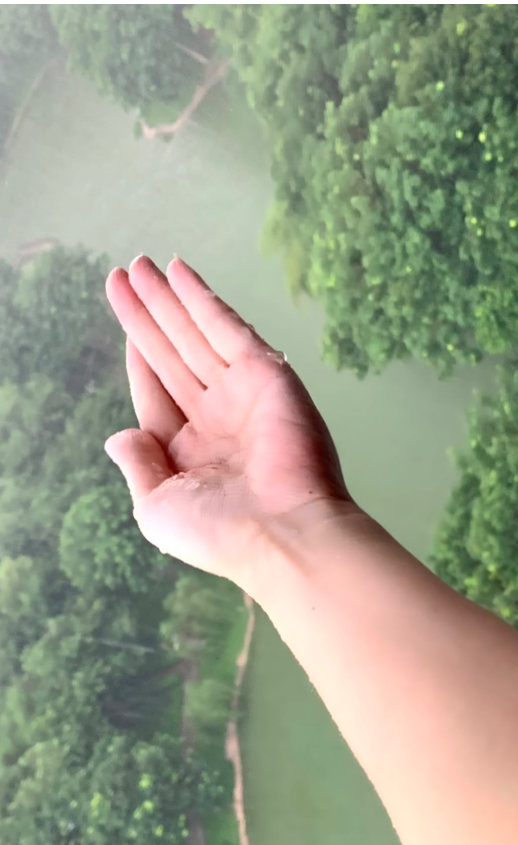 481ACFD6-24F4-4F5C-8A31-D8940C9D6F05.png