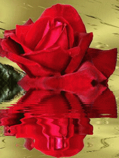 4872db84e40f8aa7a1c9247098ec22dc.gif