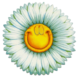 4899b223776cecfdfbb002476152af76.gif