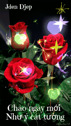 4A73DC6A-A04A-4F7F-81F4-933443D80966.gif