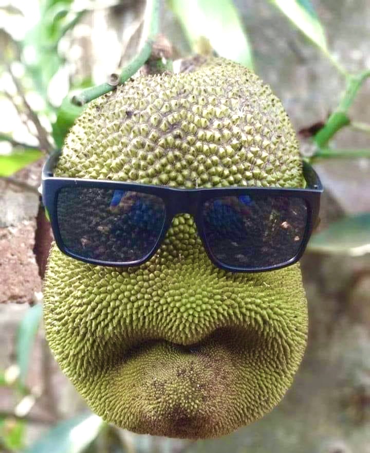 4BB82A6B-007A-4F62-ADEA-8E0B6540BFA0.jpeg