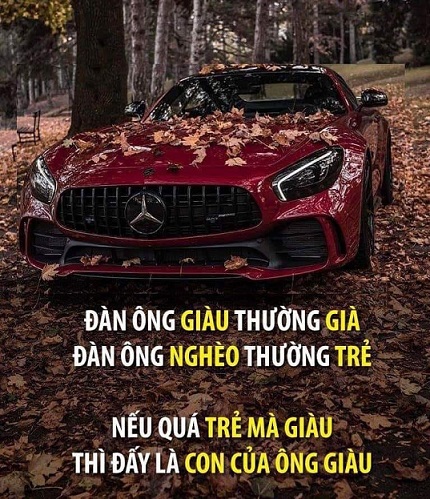 51869D85-05D4-4C6D-B60B-52CED6CEBE69.jpeg
