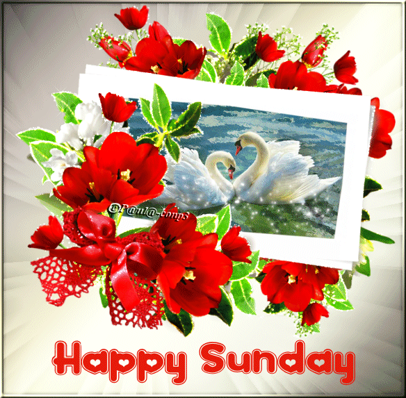 51ae0dcc783380f3143678a3d7a1d32a.gif
