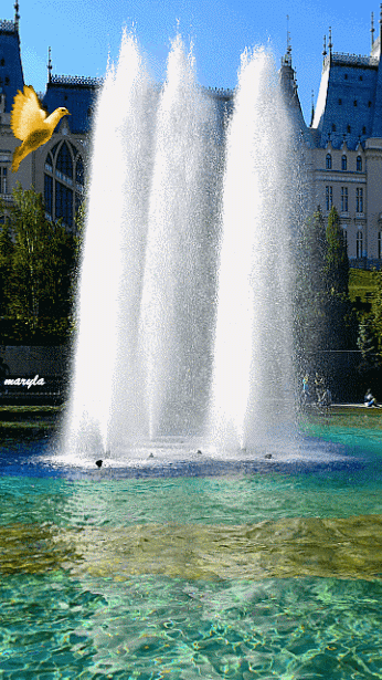 554b12505f24346acfd0cd5c4b1f42c1.gif