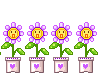 556d1e933b36ded1ee2aa8571b7be493.gif