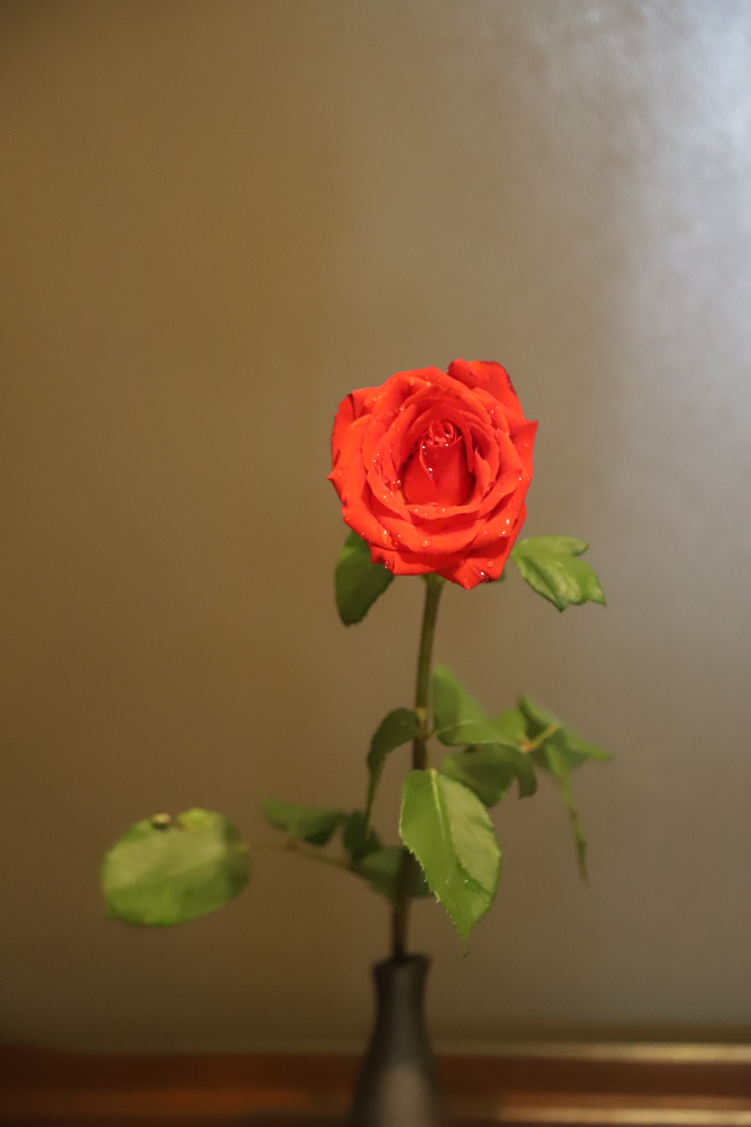 5BC85375-2AFB-4D25-B217-49EB3777E01A.jpeg