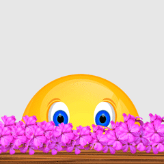 5c24b019641c71095dfd22b3fc0a8ead.gif