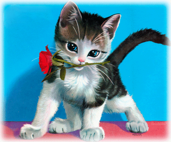 5c2add00862769c4112ca1d564dde06c.gif