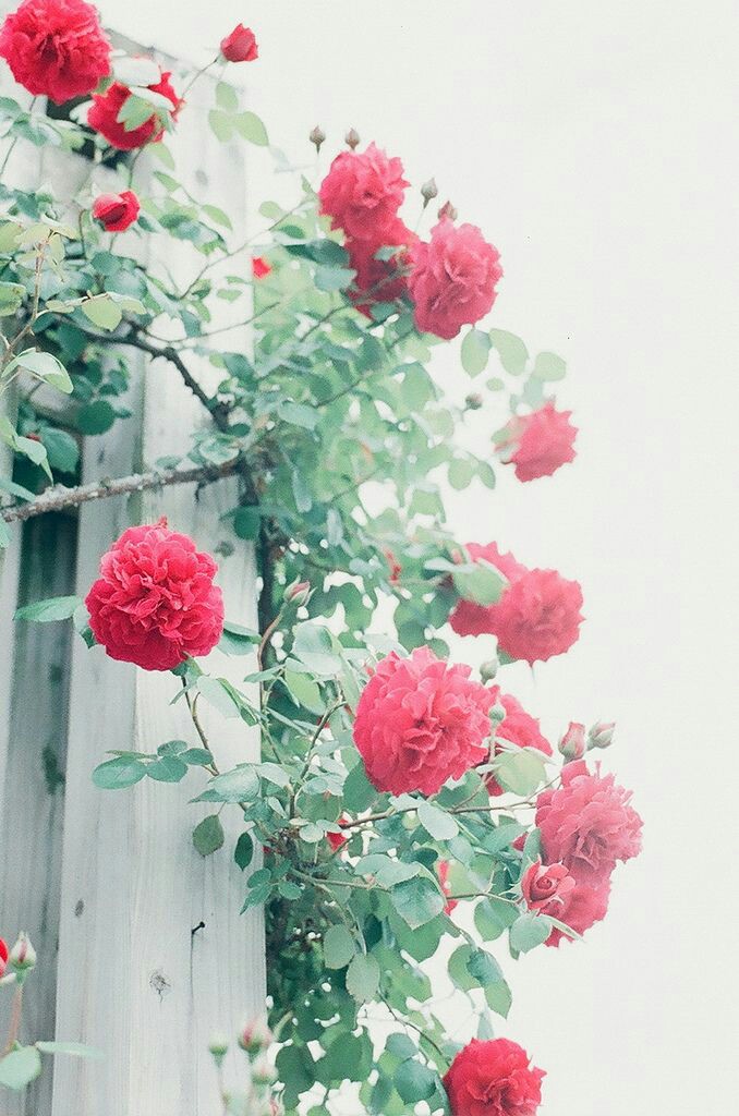 5d8f854f0925a7d8a07de892ffefedf6.jpg
