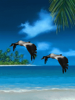 5fc8e-0003.gif