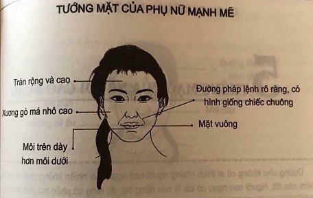 6.jpeg