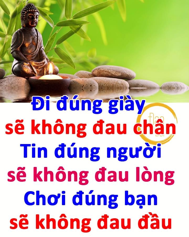 6449104F-FF77-497A-9DAA-F2CBE41C5980.jpeg