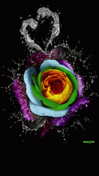 64b98a4ad17173b4555444796042dedd.gif